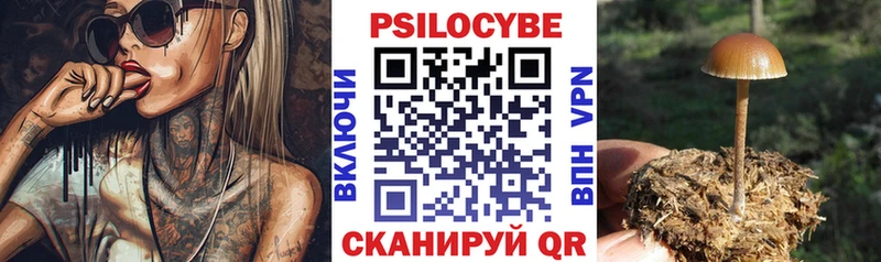Псилоцибиновые грибы GOLDEN TEACHER  купить наркотики цена  Борзя 